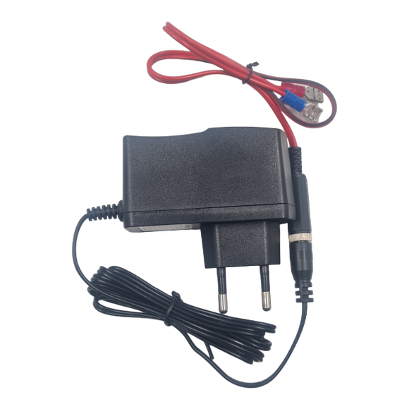 12V 1 Amp SLA Charger